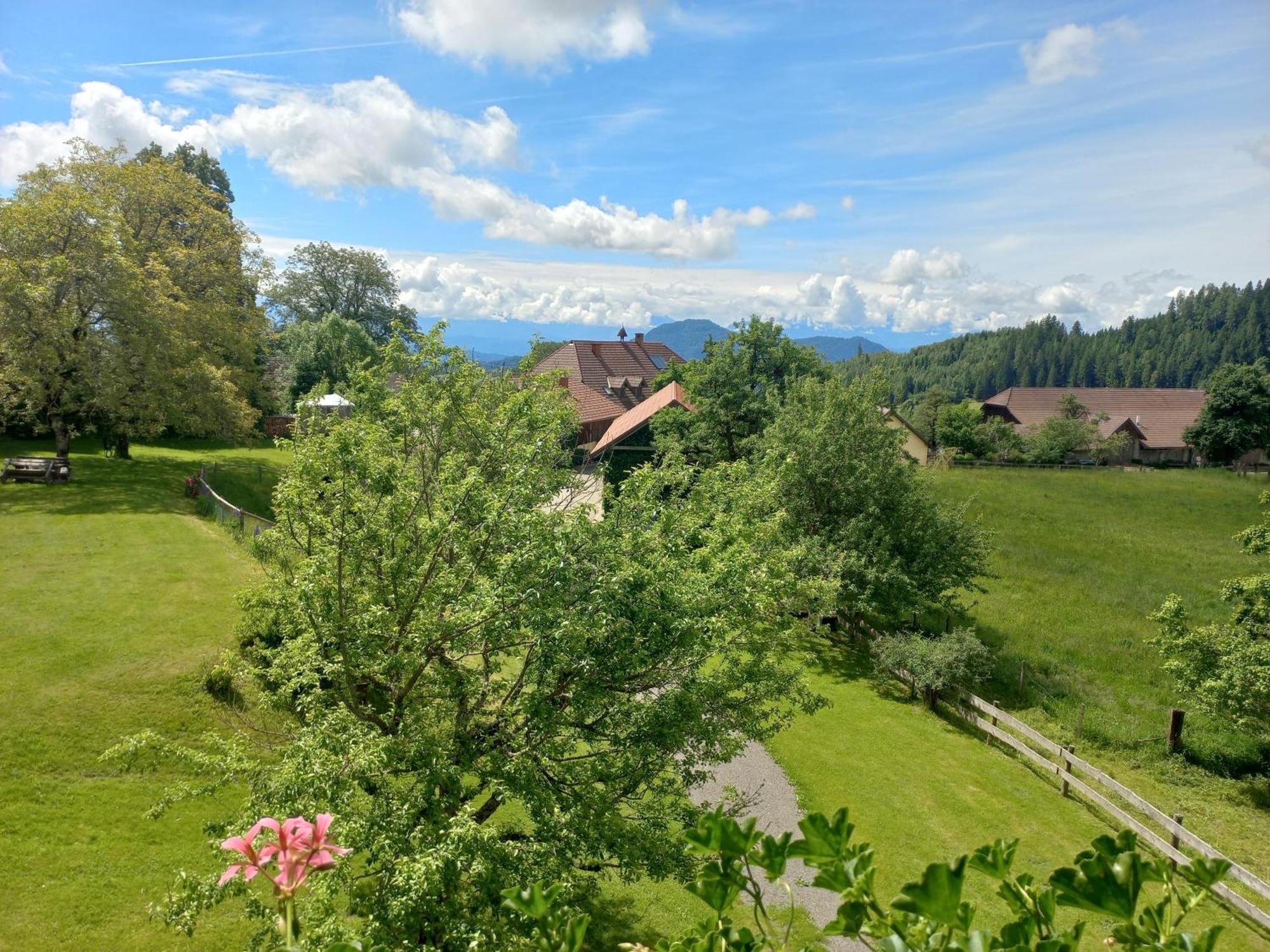 Steurer Hof Leilighet Liebenfels Eksteriør bilde