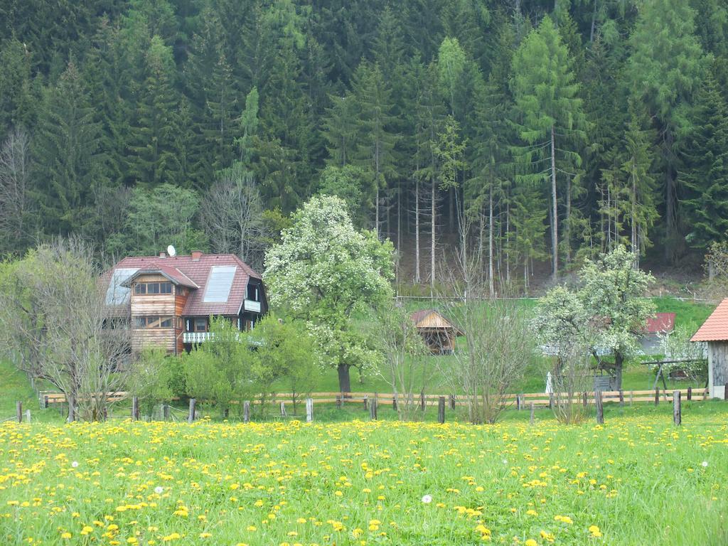 Steurer Hof Leilighet Liebenfels Eksteriør bilde